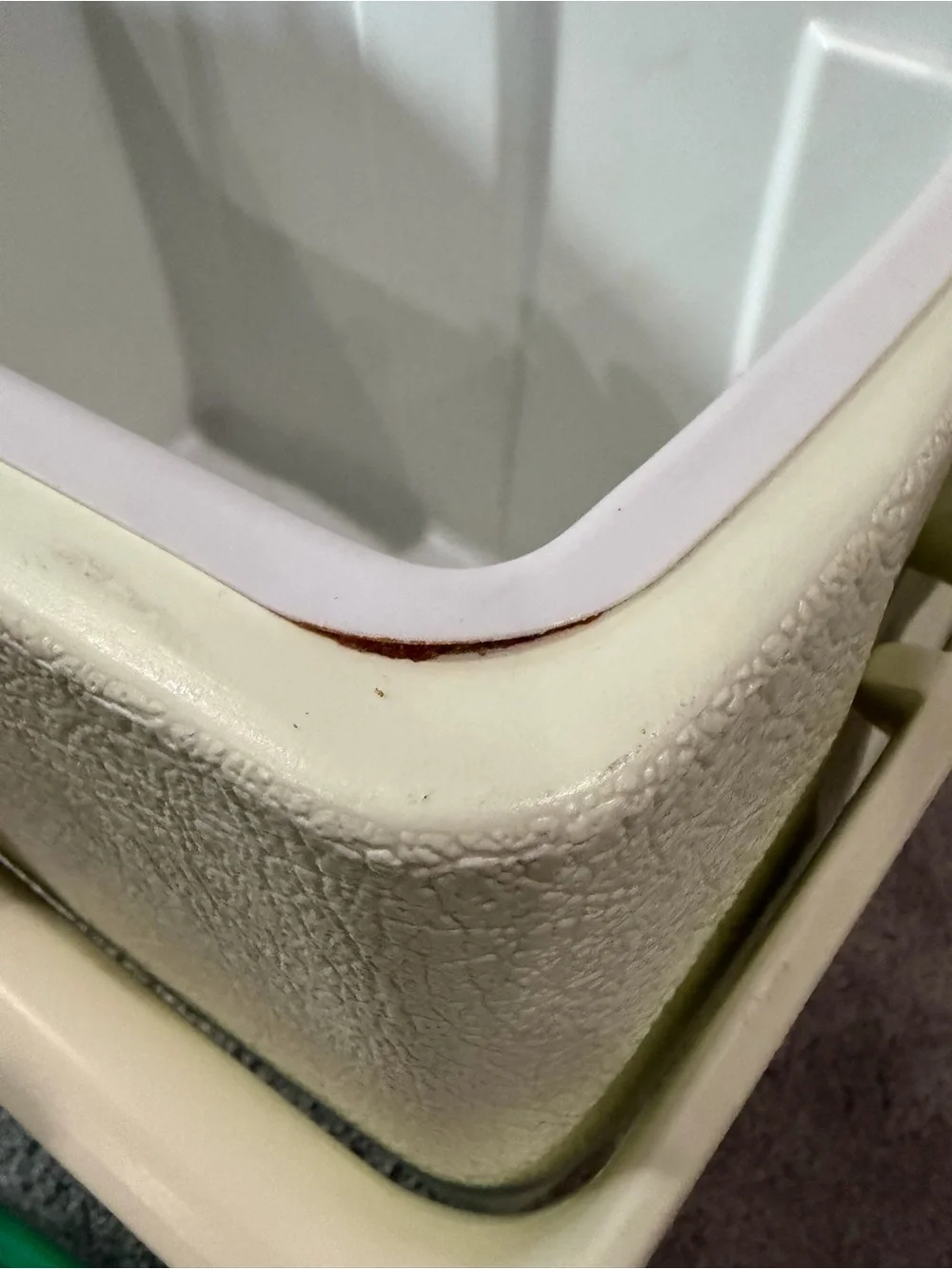 Coleman Oscar Two-Tone Green and Cream Cooler